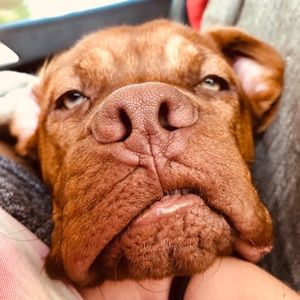 Meet your Posher, Kimmi